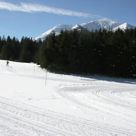 Chalet In Near Ski Area Chalet *